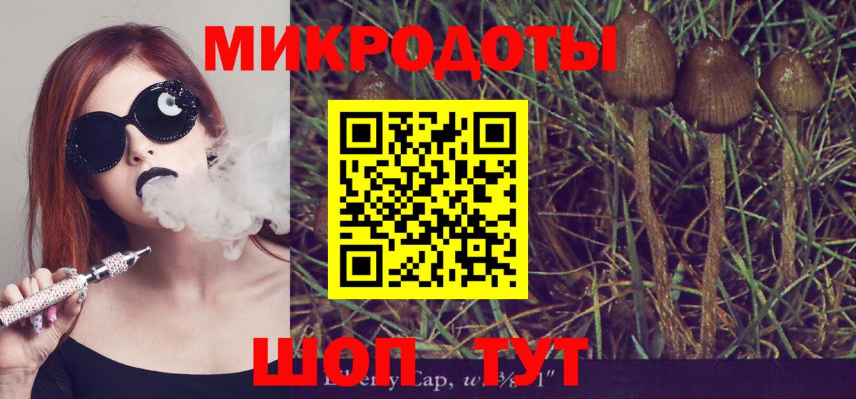 Галлюциногенные грибы мухоморы Электросталь