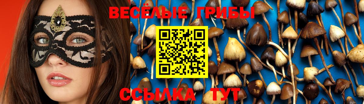 Галлюциногенные грибы мицелий  Вход с VPN  Электросталь 